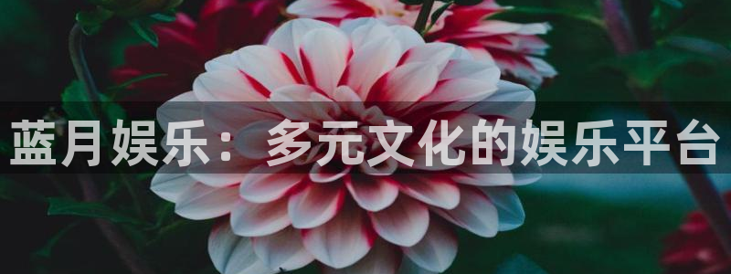 开丰娱乐：蓝月娱乐：多元文化的娱乐平台