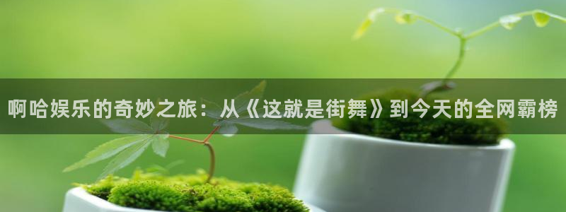 开丰娱乐地址：啊哈娱乐的奇妙之旅：从《这就是街舞》到今天的全网霸榜