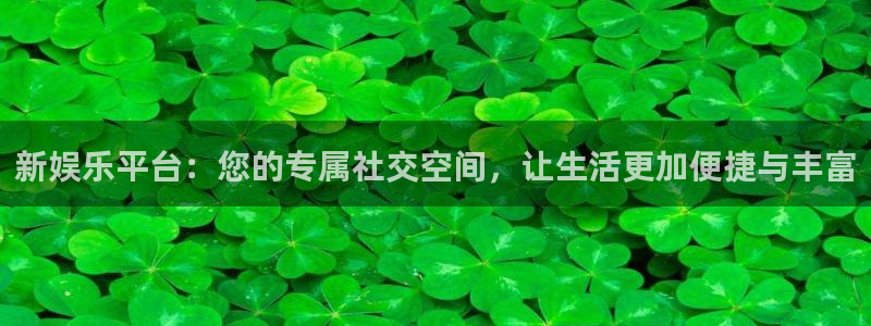 开丰娱乐地址：新娱乐平台：您的专属社交空间，让生活更加便捷与丰富