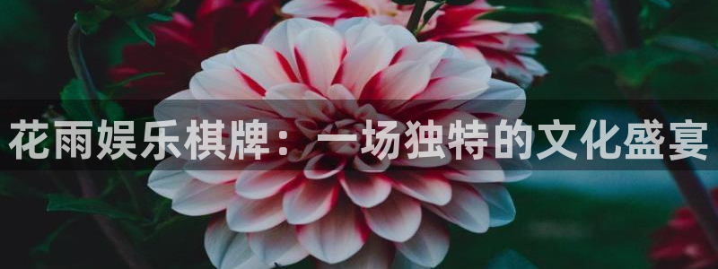 开丰娱乐地址：花雨娱乐棋牌：一场独特的文化盛宴