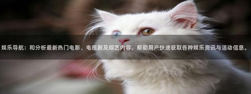 开丰娱乐：娱乐导航：和分析最新热门电影、电视剧及综艺内容，帮助用户快速获取各种娱乐资讯与活动信息。