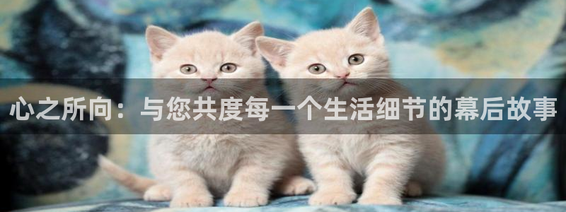 开丰娱乐地址：心之所向：与您共度每一个生活细节的幕后故事
