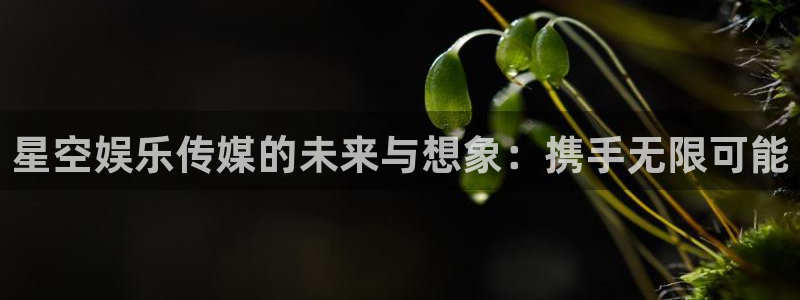 upload/20250701114914.jpg