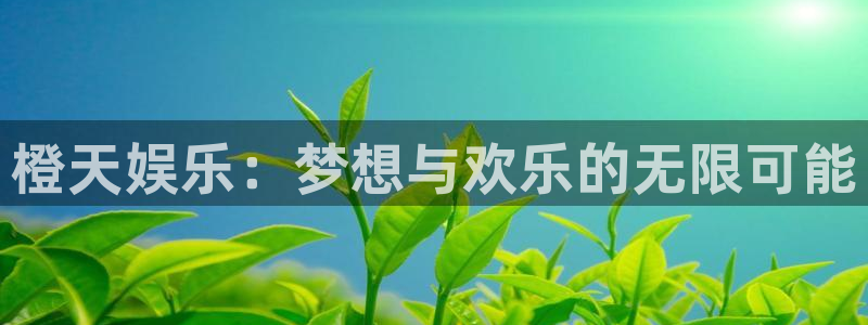 开丰娱乐168：橙天娱乐：梦想与欢乐的无限可能