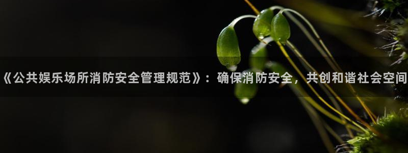 upload/20250701114914.jpg